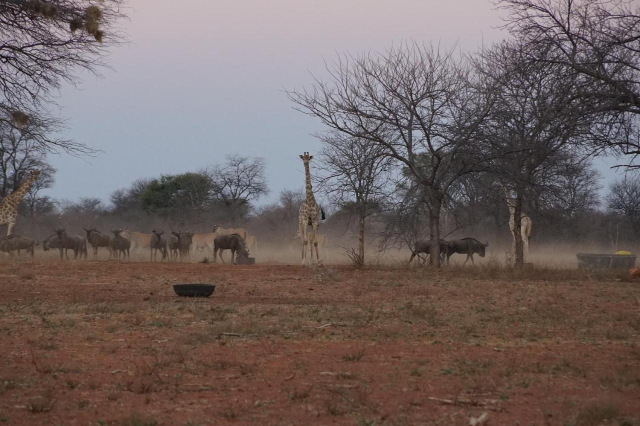 Kwele Game Lodge Beauty 외부 사진