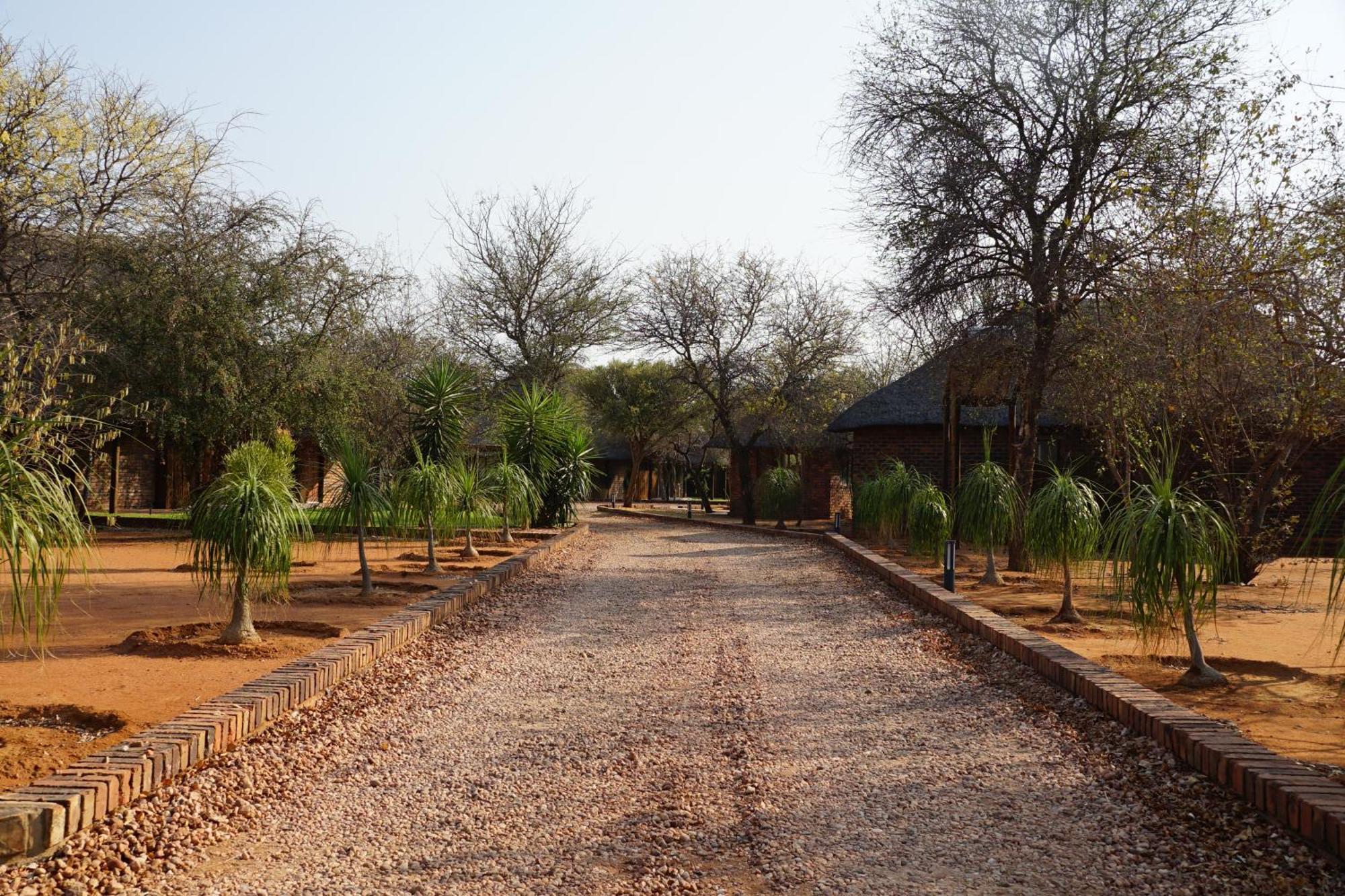 Kwele Game Lodge Beauty 외부 사진